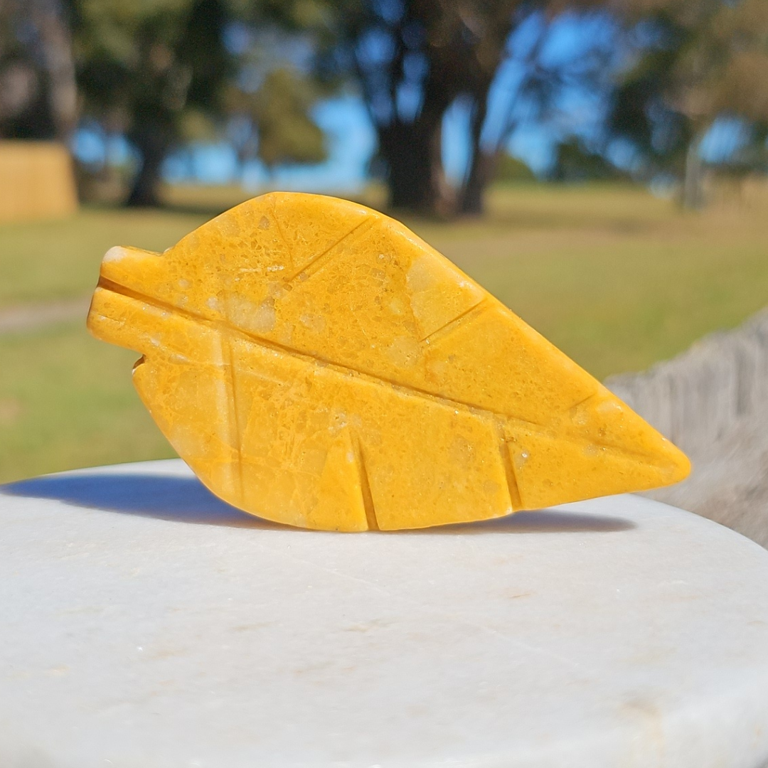 Yellow Jasper Leaf